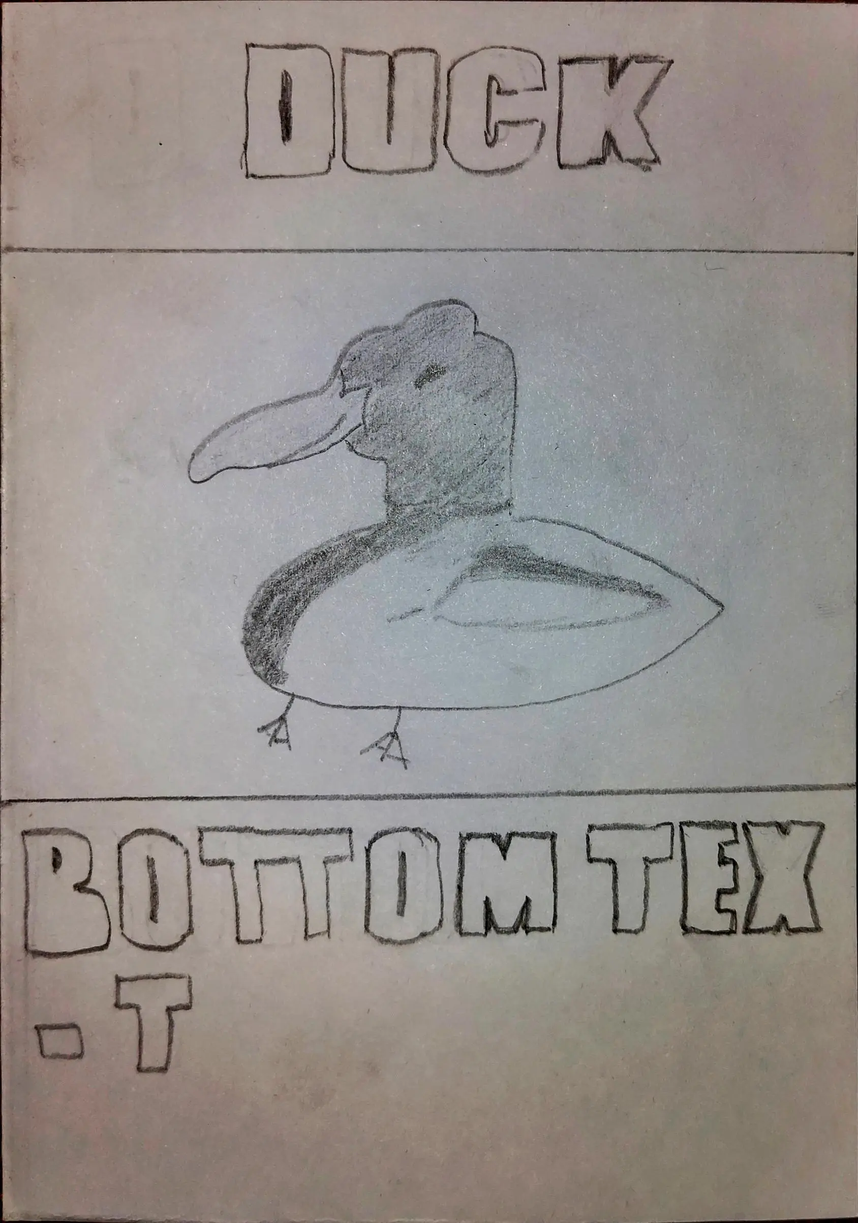 Funny Duck Card
